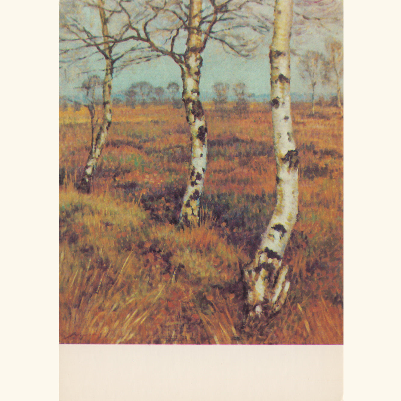 Alfred Wiegmann - Birken im Moor - Postkarte 558