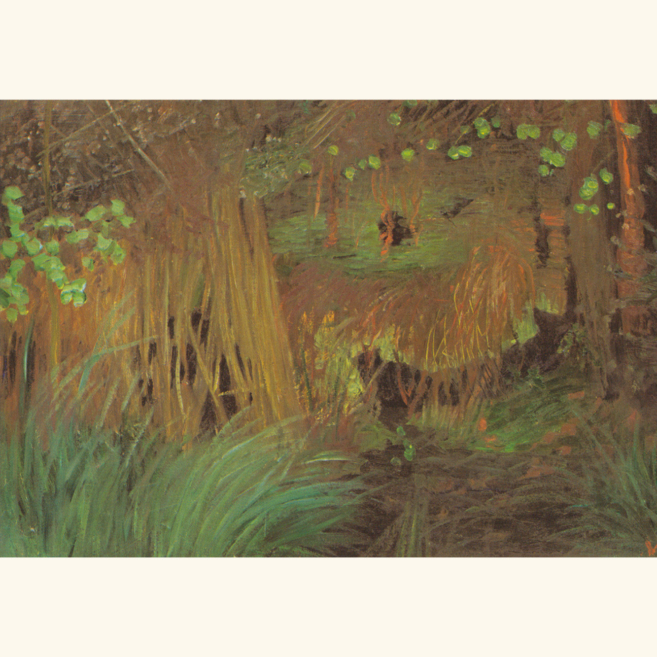 Otto Modersohn  - Moorpflanzen - gr.Klappkarte 11-103
