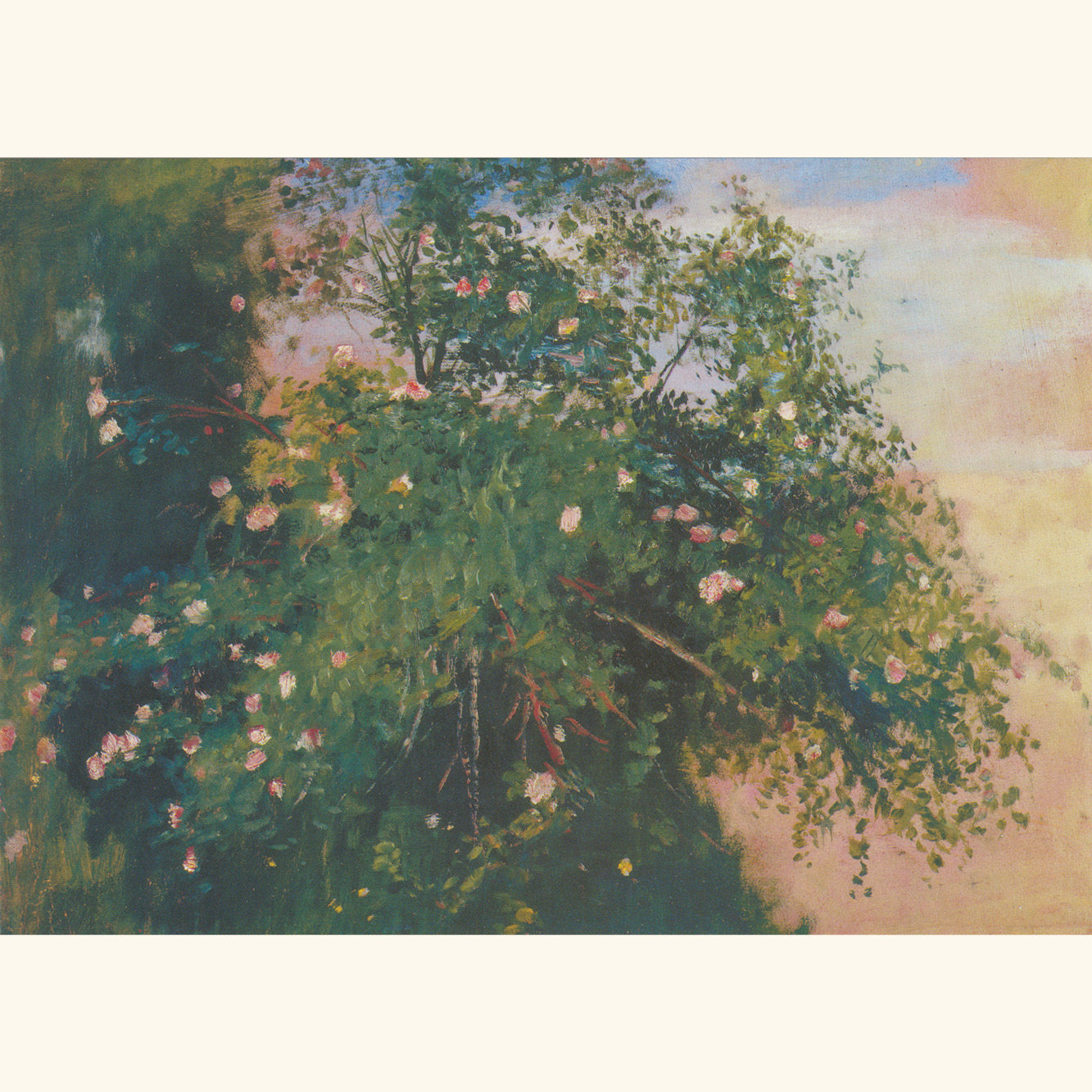 Otto Modersohn - Heckenrose - Postkarte 141